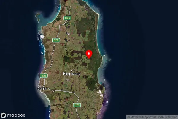 Sea Elephant,Tasmania Satellite Map