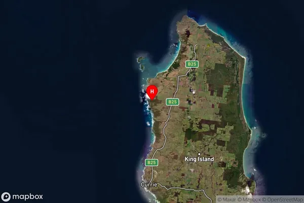 Wickham,Tasmania Satellite Map