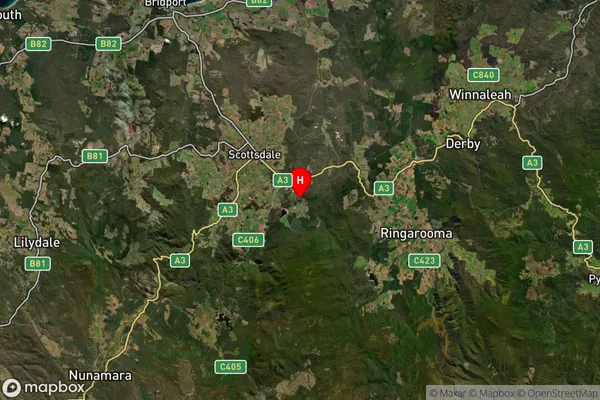 Cuckoo,Tasmania Satellite Map