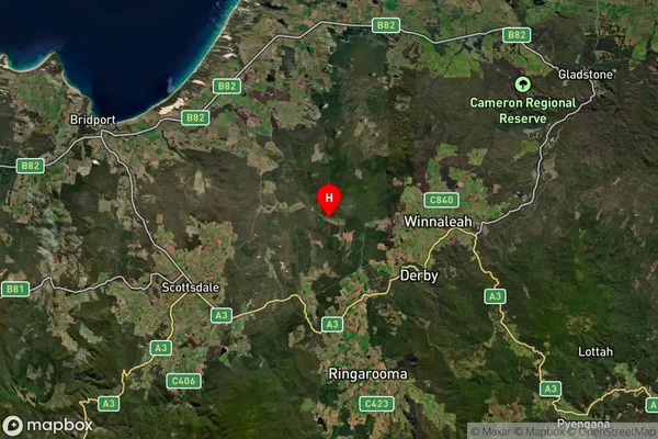 Forester,Tasmania Satellite Map