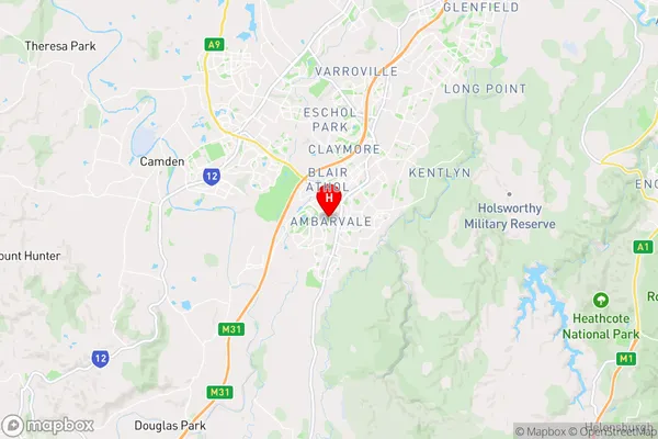 Ambarvale,New South Wales Area Map