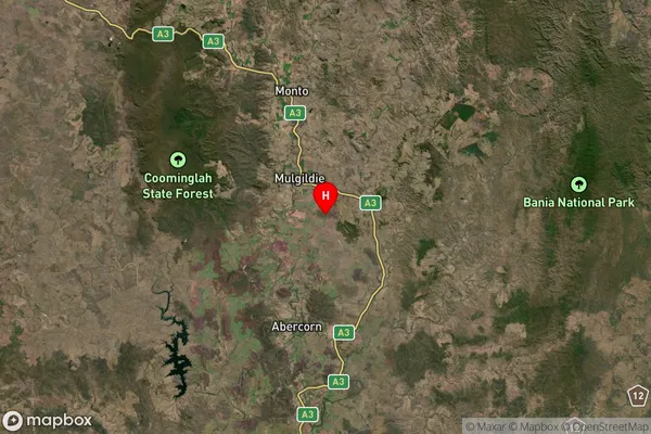 Selene,Queensland Satellite Map