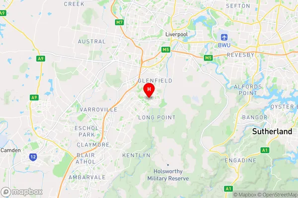 Macquarie Fields,New South Wales Area Map