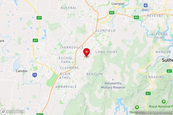 Minto,New South Wales Area Map