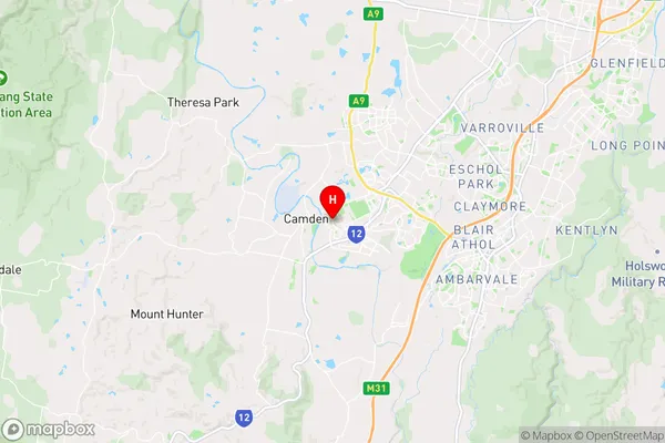 Elderslie,New South Wales Area Map