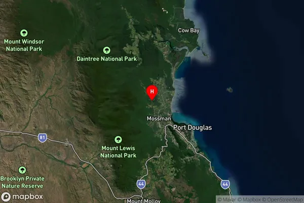 Syndicate,Queensland Satellite Map