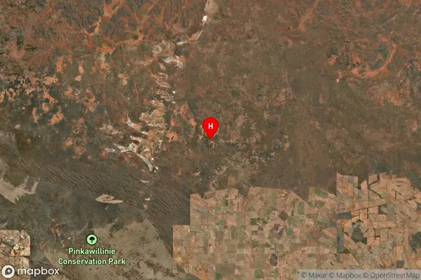 Buckleboo,South Australia Satellite Map