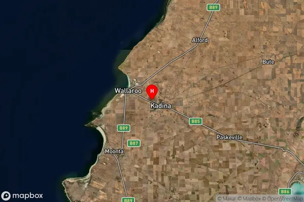 New Town,South Australia Satellite Map