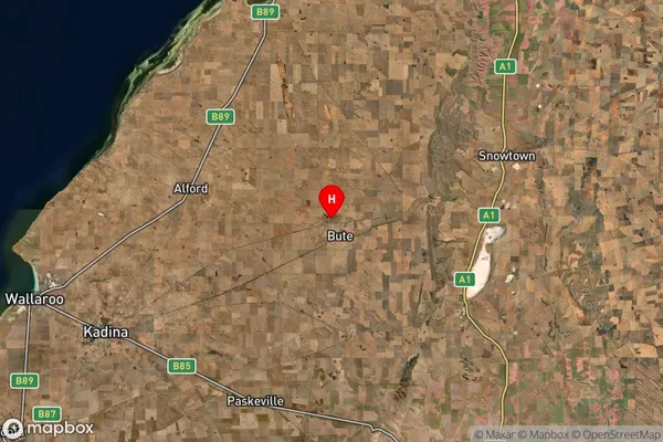 Bute,South Australia Satellite Map