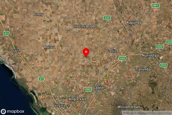 Wasleys,South Australia Satellite Map