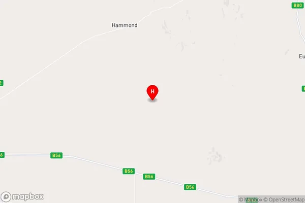 Amyton,South Australia Area Map