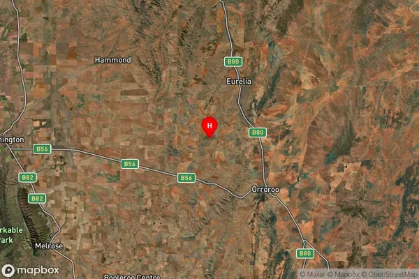 Coomooroo,South Australia Satellite Map