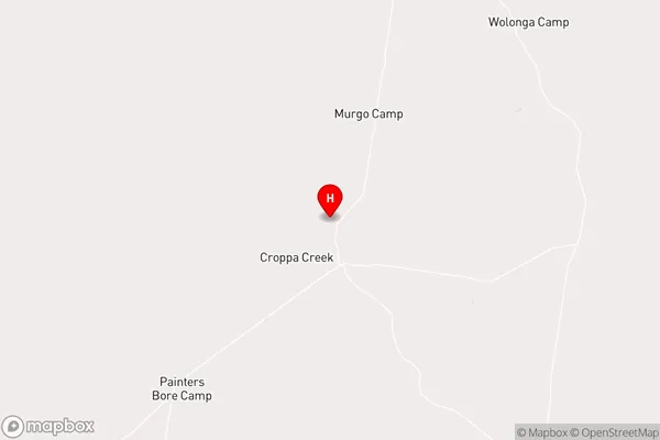 Croppa Creek,New South Wales Area Map