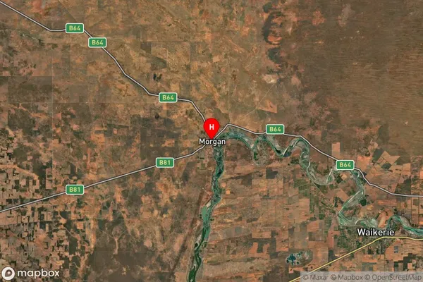 Morgan,South Australia Satellite Map