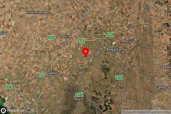Gomersal,South Australia Satellite Map