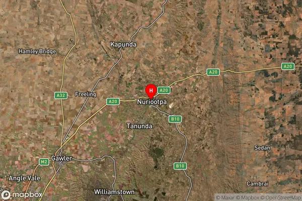 Nuriootpa,South Australia Satellite Map