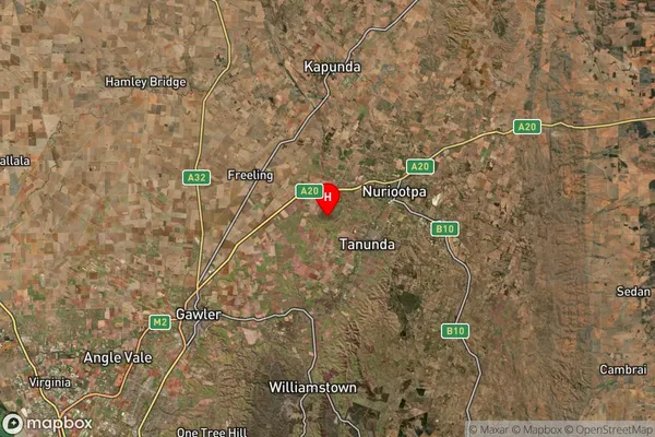 Seppeltsfield,South Australia Satellite Map