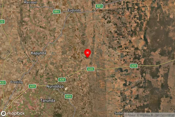 Dutton,South Australia Satellite Map