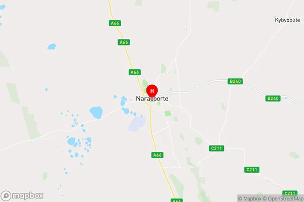 Naracoorte,South Australia Area Map