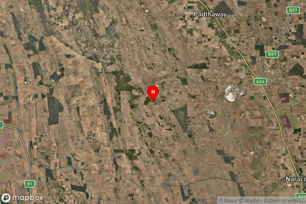 Woolumbool,South Australia Satellite Map