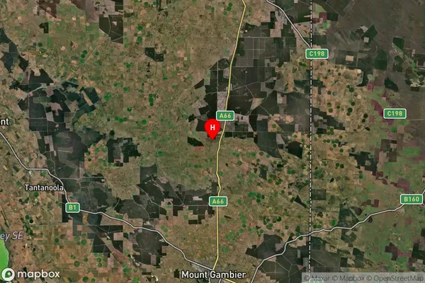 Tarpeena,South Australia Satellite Map