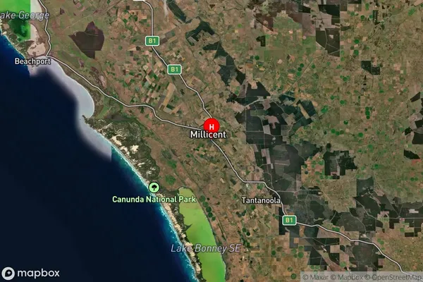 Millicent,South Australia Satellite Map