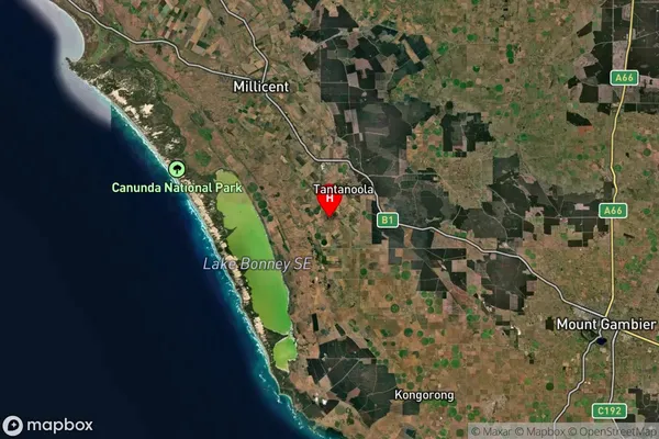 Tantanoola,South Australia Satellite Map