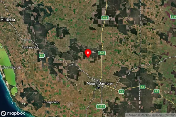 Wandilo,South Australia Satellite Map