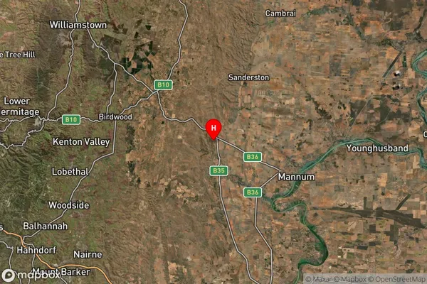 Palmer,South Australia Satellite Map