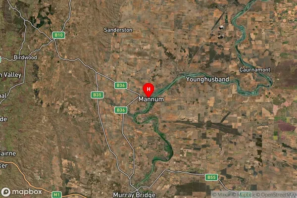 Mannum,South Australia Satellite Map