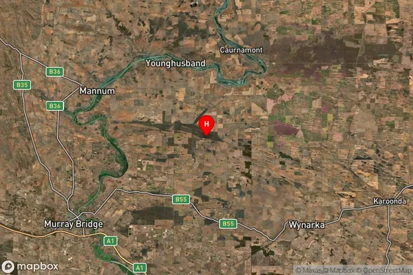 Ettrick,South Australia Satellite Map