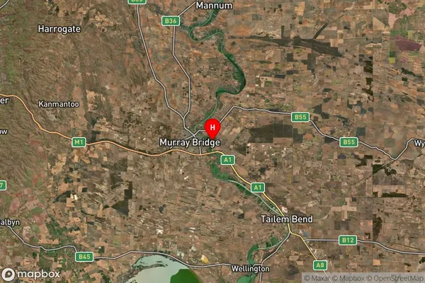 Long Flat,South Australia Satellite Map