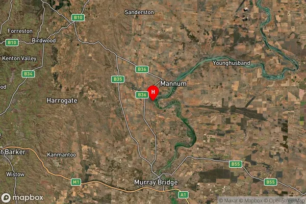 Caloote,South Australia Satellite Map