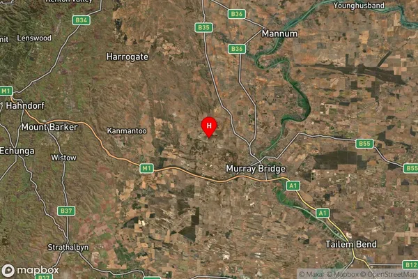 Pallamana,South Australia Satellite Map