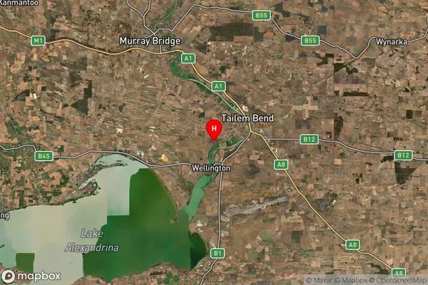 Wellington,South Australia Satellite Map