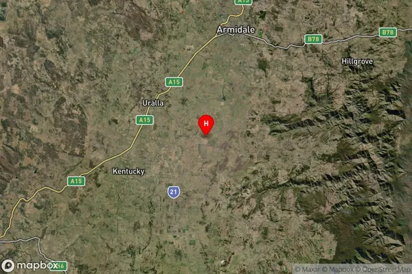 Gostwyck,New South Wales Satellite Map