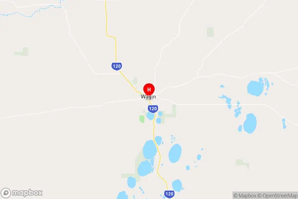 Wagin,Western Australia Area Map