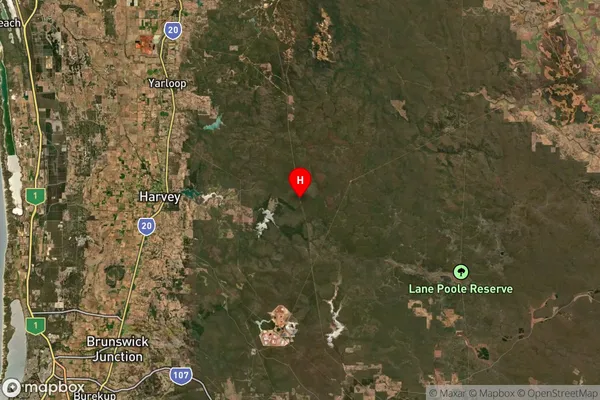 Hoffman,Western Australia Satellite Map