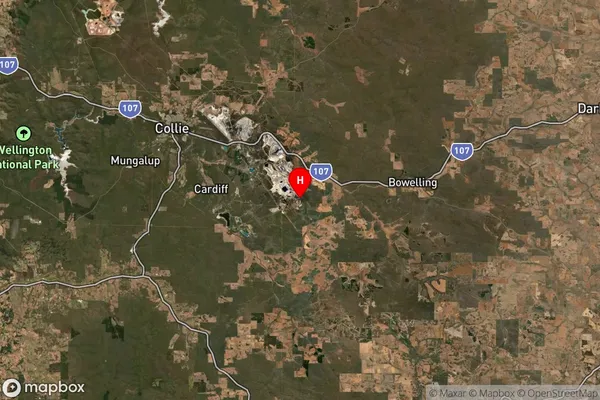 Muja,Western Australia Satellite Map