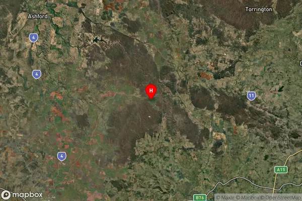 Wellingrove,New South Wales Satellite Map