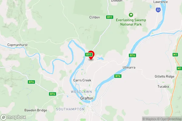 Trenayr,New South Wales Area Map