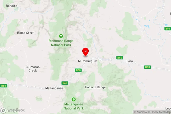 Bingeebeebra,New South Wales Area Map