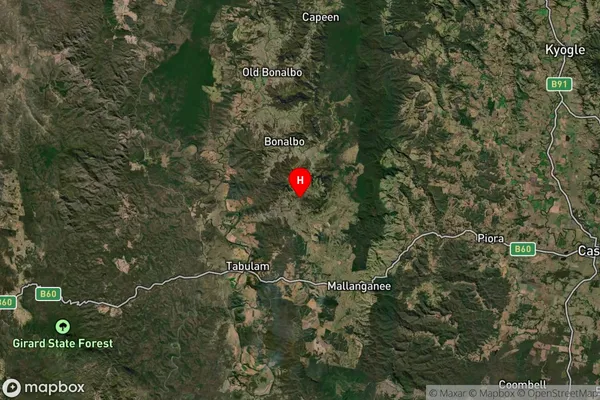 Bottle Creek,New South Wales Satellite Map