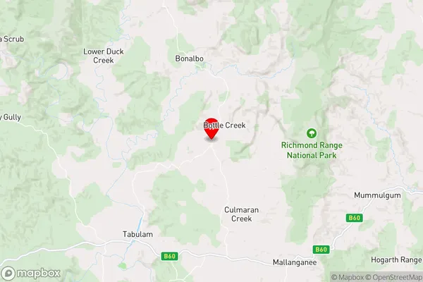 Bottle Creek,New South Wales Area Map