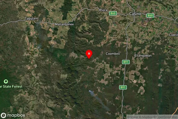 Busbys Flat,New South Wales Satellite Map