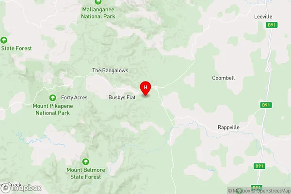 Busbys Flat,New South Wales Area Map