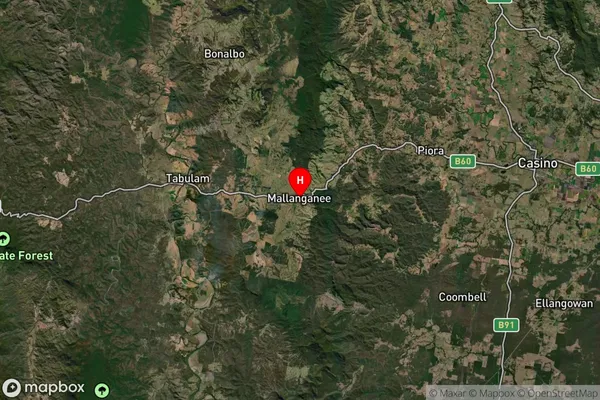 Mallanganee,New South Wales Satellite Map