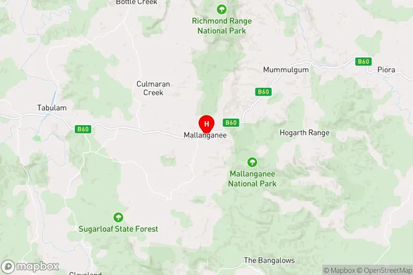 Mallanganee,New South Wales Area Map