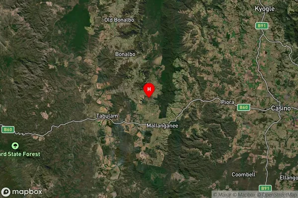 Tunglebung,New South Wales Satellite Map