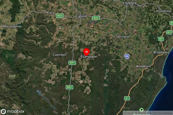 Ellangowan,New South Wales Satellite Map